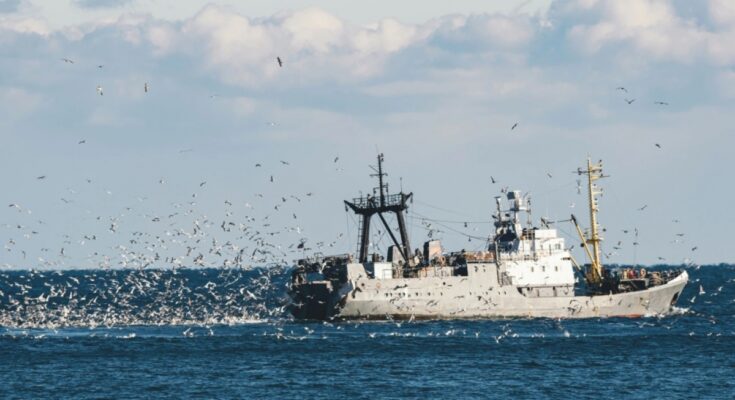 Как рыба-падальщик спасала Черное море