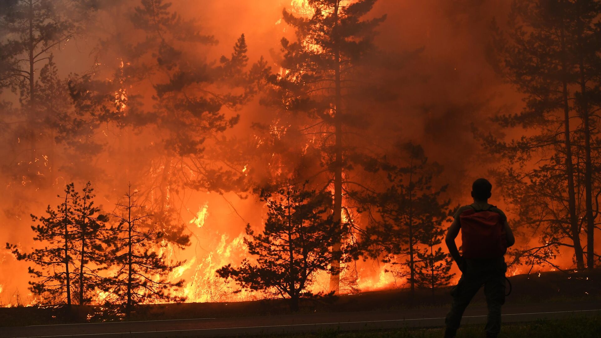 Лесные пожары в России 2021