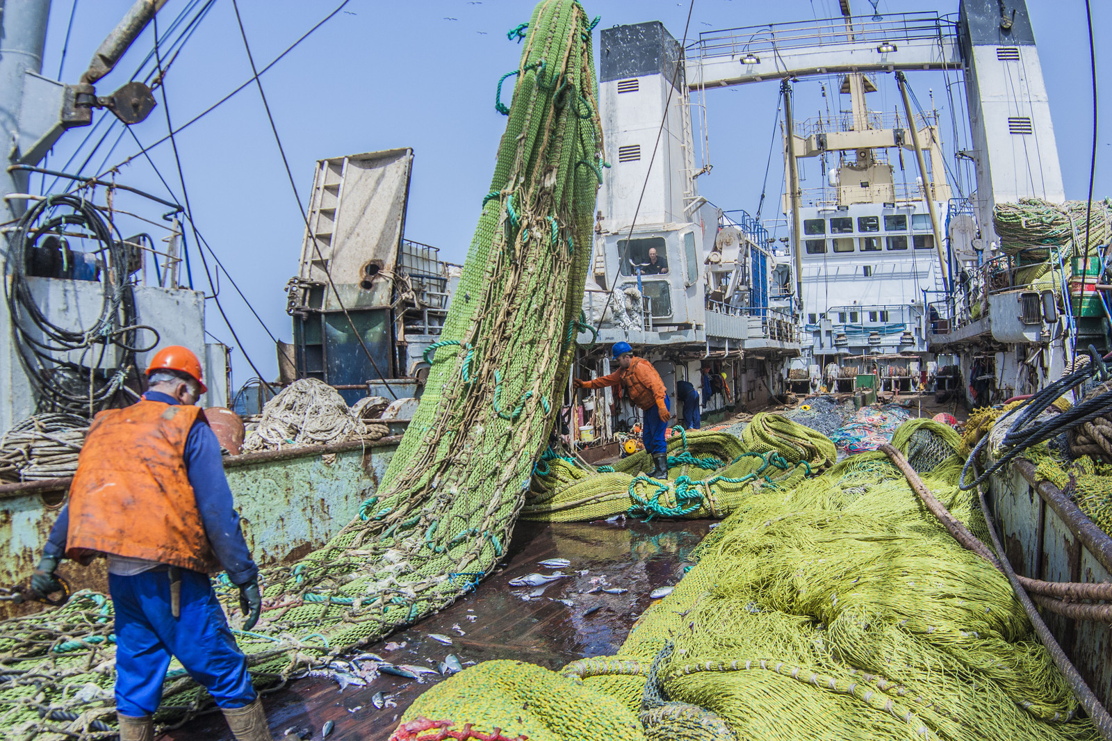 денонсация международного договора это. денонсация международного договора это. инфографика рыболовство. денонсация договора это. денонсация соглашения о рыболовстве.