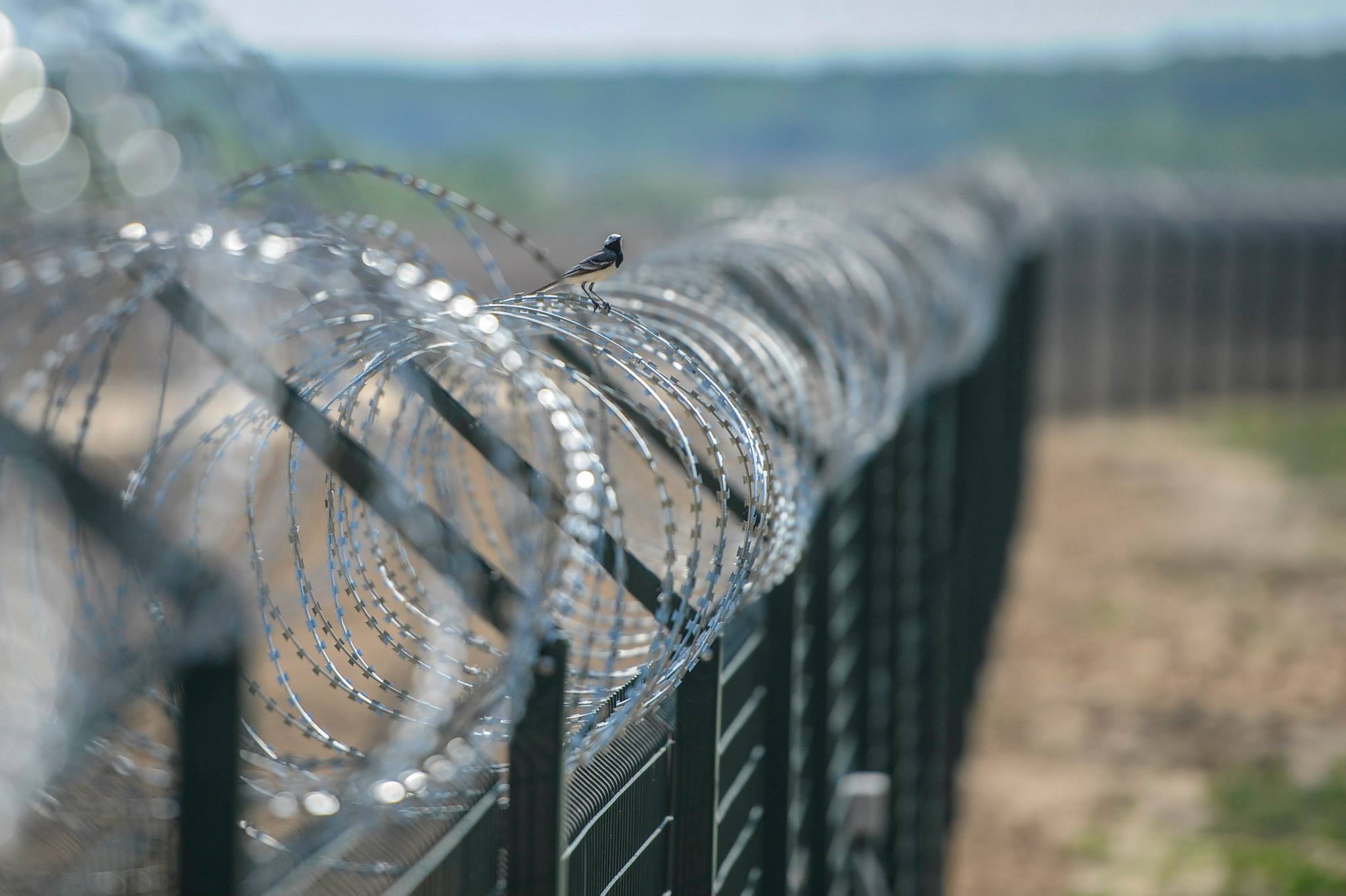 На границе Украины и Румынии натянули колючую проволоку