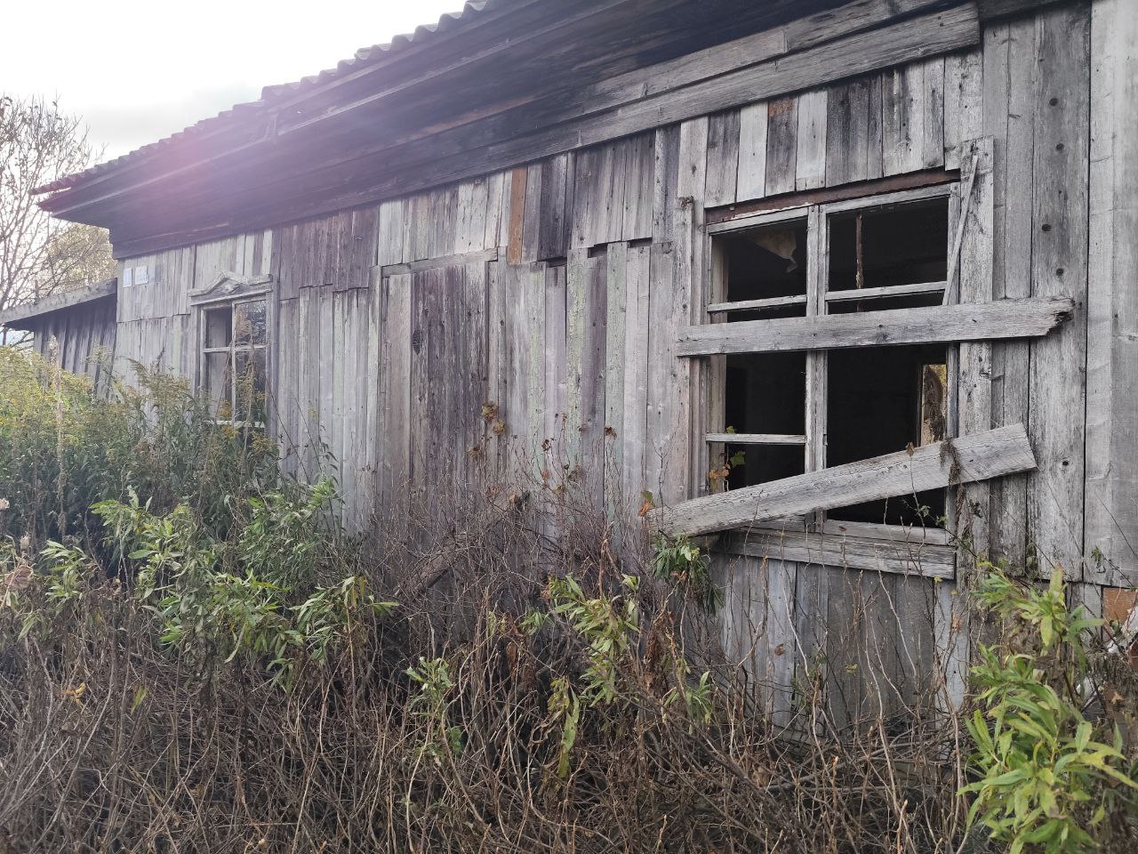 Фантазии против  здравого смысла