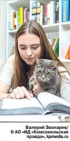 Соцхроника