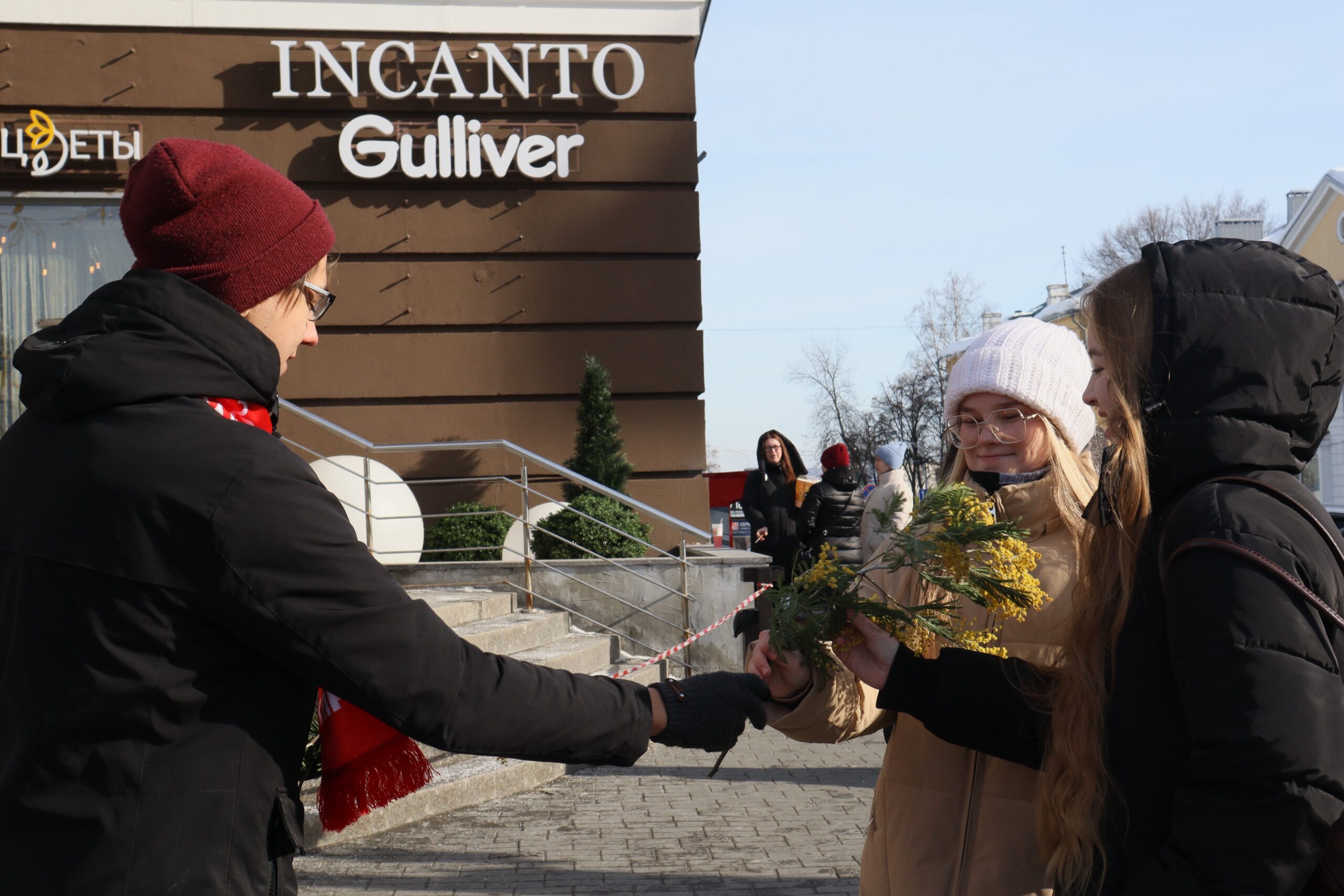 Мимозы и улыбки